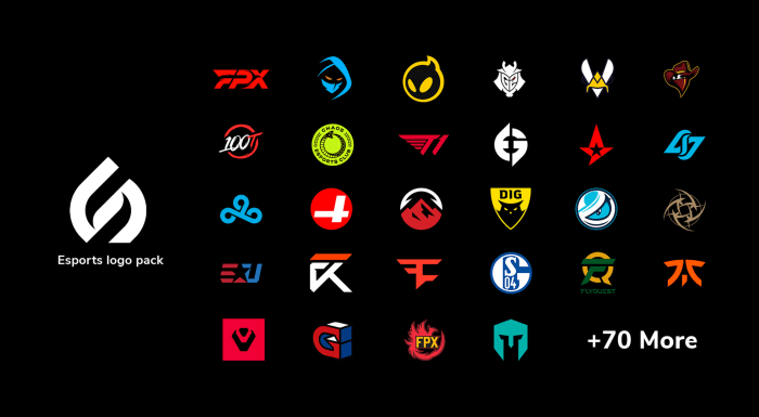 Esports organizations
