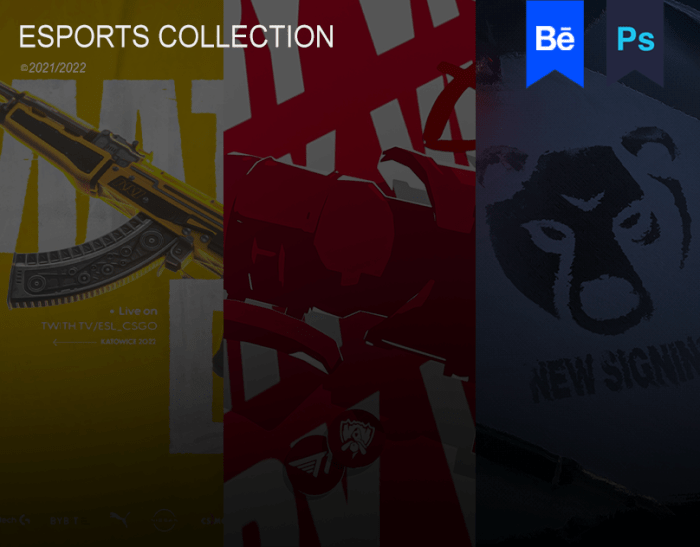 Esports auctions